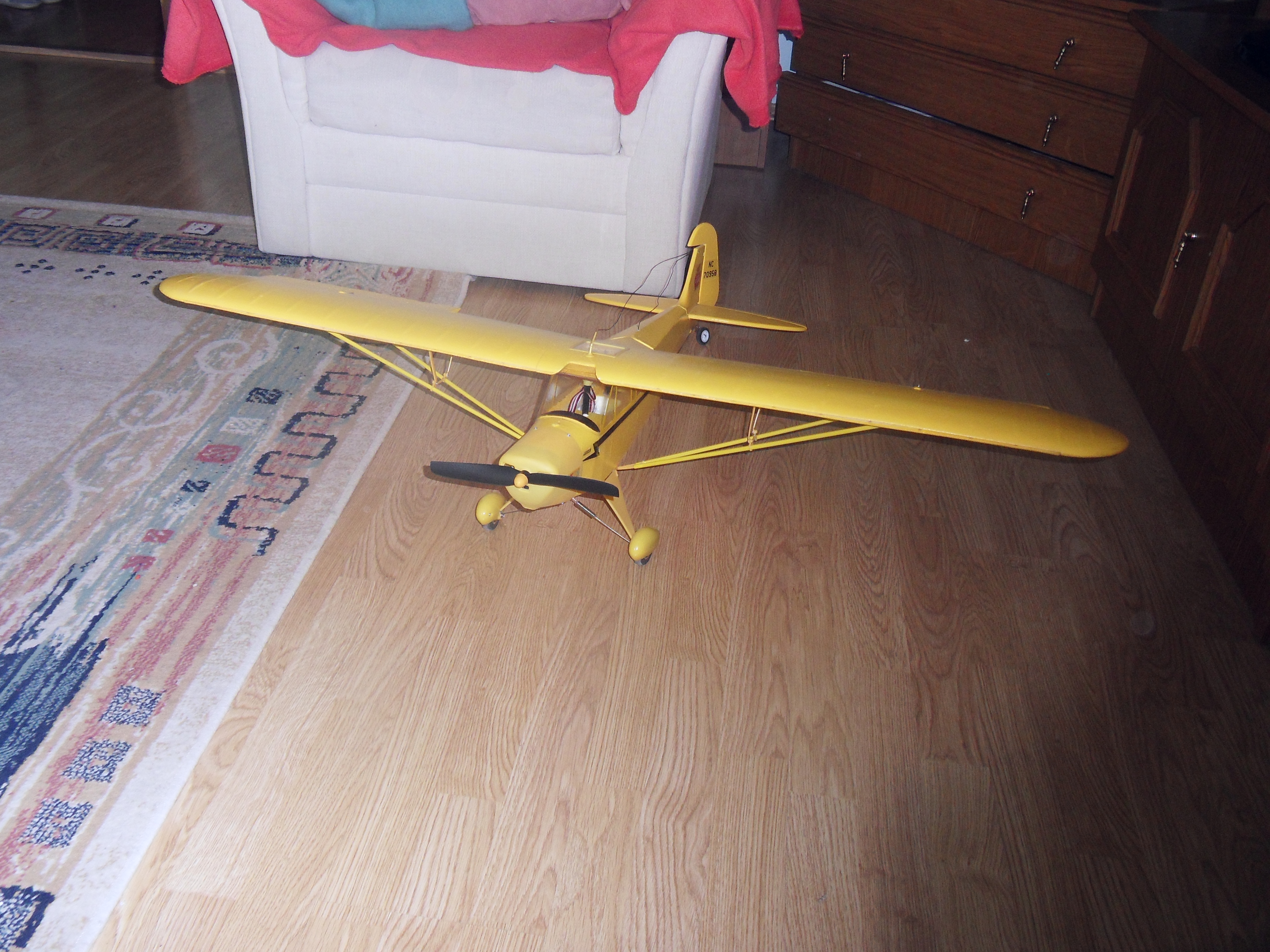 SDC11223.JPG