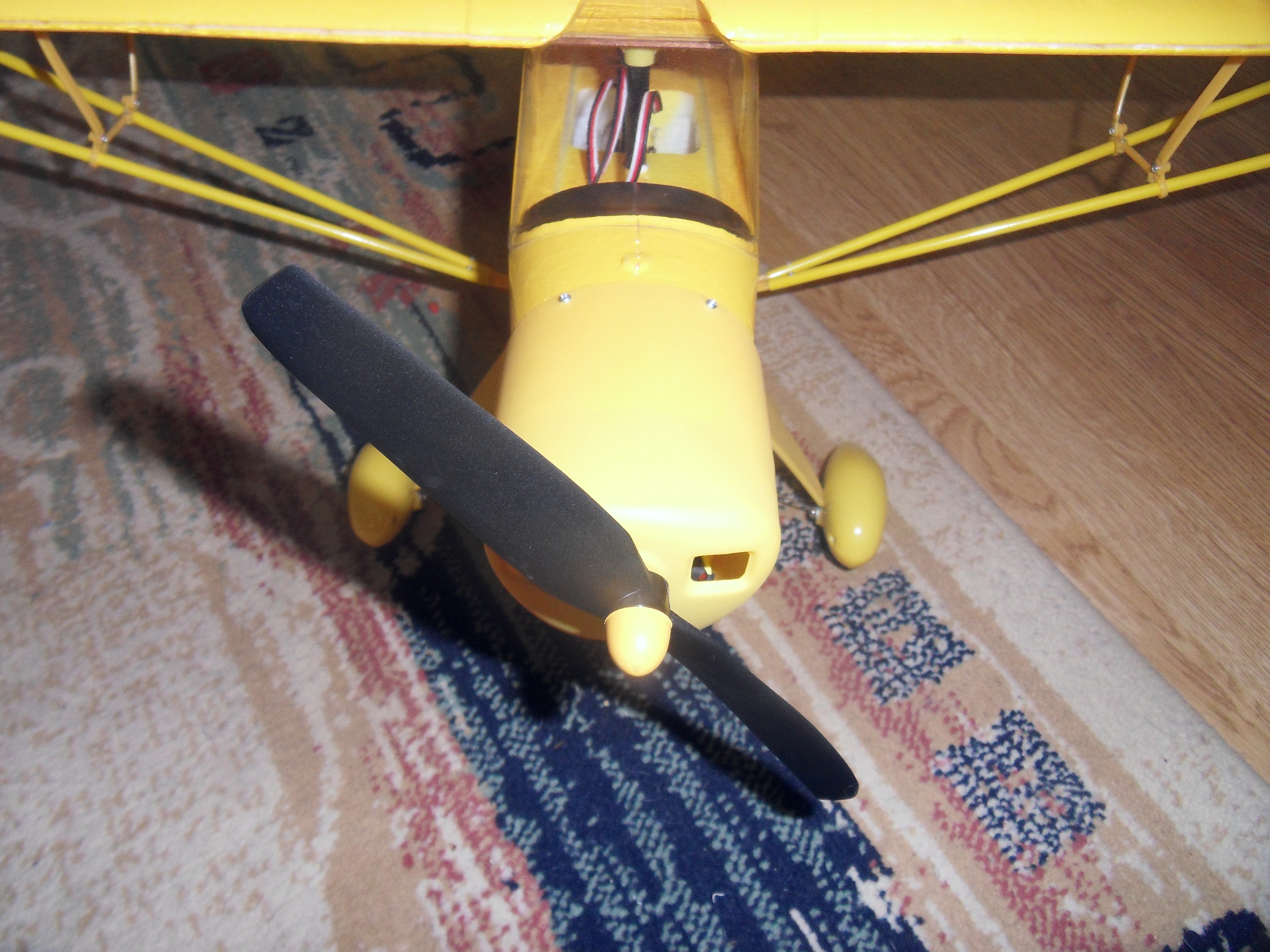 SDC11229.JPG