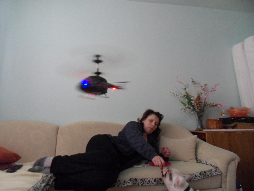 SDC10137.JPG